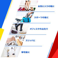 Dr.Scholl（ドクターショール） 靴用消臭・抗菌スプレー 大型サイズ 大容量 300ml ショールズウェルネスカンパニー