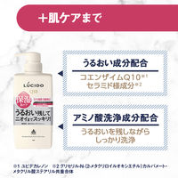 LUCIDO（ルシード）ボディウォッシュ 薬用 デオドラント うるおいタイプ 本体 メンズ 加齢臭対策 ボディソープ 450ml