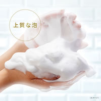 ダヴ（Dove） ボディウォッシュ 発酵＆ビューティーシリーズ ツヤ＆透明感 ローズ ポンプ 480g ユニリーバ 【液体タイプ】