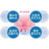 摩耶字散 10包 摩耶堂製薬　生薬製剤 飲み薬 痔の痛み・出血 いぼ痔 切れ痔【第2類医薬品】