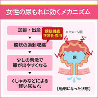 モレナクト 120錠 小林製薬【第2類医薬品】