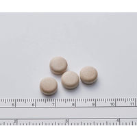 テイラック 48錠 小林製薬 五苓散（ごれいさん） 低気圧 頭痛 むくみ 漢方薬【第2類医薬品】