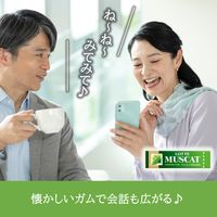 マスカットガム 15個 ロッテ ガム