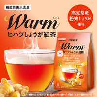 【スティック】【機能性表示食品】日東紅茶 Warm（ウォーム）ヒハツしょうが紅茶 1セット（24本:8本入×3袋）