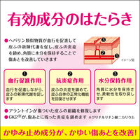 アットノンEXかゆみ止めプラス 10g 小林製薬【第2類医薬品】