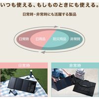 ソーラーパネル ソーラー充電器 発電最大出力21W タイプC×1 USB A×1 ブラック MPA-S03BK エレコム 1個