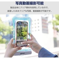 スマホ防水ケース IPX8 (ケース×1 ネックストラップ×1) 水没防止設計 オーロラ P-WPSF04ARR エレコム 1個