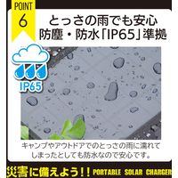 エアージェイ ポータブルソーラー充電器5W エントリーモデル BK レッドカップキャンペーン商品 AJ-NSOLAR5W 1台