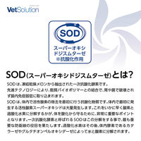 Vetsolution ベットソリューション 猫用 腎臓サポート 1.5kg（直送品）
