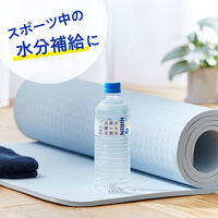 キリンビバレッジ キリン 自然が磨いた天然水 600ml 1セット（48本）【水・ミネラルウォーター】