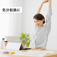 伊藤園 とろける桃ソーダ 450ml 1箱（24本入）