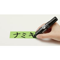 パイロット 油性マーカー 丸芯ツインマーカー 細・太 ブラック MFN15FBM-B 1セット（10本）