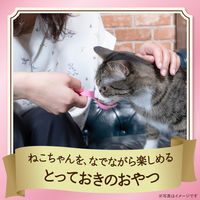 銀のスプーン にゃんスプーン 2種アソート（まぐろ＆かつお）毛玉ケア（10g×10本）10袋 猫用 おやつ