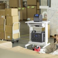 サンワサプライ ポータブル電源 (1485Wh) BTL-RDC28 1台（直送品）