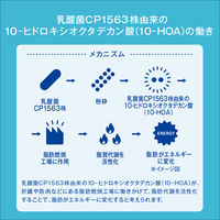 【機能性表示食品】アサヒ飲料 PLUSカルピス（Ｒ） 体脂肪ケア 200ml 1セット（48本）