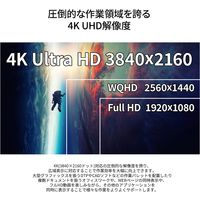 JAPANNEXT 28インチ ワイド 4K液晶モニター JN-IPS28FLUHDR-HSP 1台