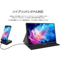 JAPANNEXT 13.3インチモバイルモニター JN-MD-IPS1332FHDR 1台