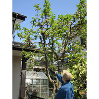 アイリスオーヤマ 充電式高枝剪定ハサミ JTH10 1台