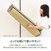 【玄関渡し】 萩原 い草カーペット　柳川（やながわ）　本間8畳  382×382cm（直送品）