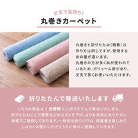 【玄関渡し】 萩原 パステルカラーの日本製抗菌カーペット　ファーレ　 江戸間 3畳  グリーン 176×261cm（直送品）