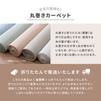 【玄関渡し】 萩原 ペットにやさしい抗菌カーペット　ステラ　江戸間4.5畳 グリーン 261×261cm（直送品）