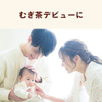 伊藤園 はじめての健康ミネラルむぎ茶 500ml 1箱（24本入）【麦茶】