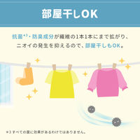 ファーファ ストーリー ドリーミー 詰め替え 特大 850g 1個 洗濯洗剤 NSファーファ ・ジャパン