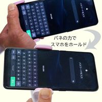 【ワゴンセール】ドギーマン じゃれ猫 ファンタスティック スマホでねこ撮りじゃらし棒 1個 猫 おもちゃ