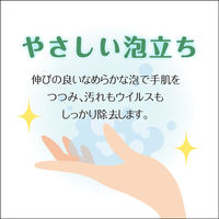 Nスター 薬用ハンドウォッシュVA 5kg 1箱（3個入） 【泡タイプ】 ニイタカ