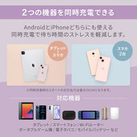 オウルテック PD20W 持ち歩きたくなる可愛いニュアンスカラーのAC充電器 ピスタチオ OWL-APD20A1C1R-PS 1個