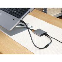 OWLTECH Type-Cケーブルを手軽に延長できるタイプC タイプC延長ケーブル 1m OWL-CBCMCF10-BK 1個