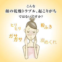 ヘパソフト 薬用顔ローション 100g ロート製薬　2個