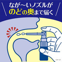 のどぬ～るスプレーナイテクト 15ml 小林製薬【第3類医薬品】
