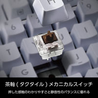 キーボード 有線 着脱式USBケーブル 茶軸 タクタイル テンキー付き ホワイト TK-MC50UKTWH エレコム 1個