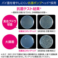 ビオレu 泡スタンプハンドソープ にくきゅう型の泡 マイルドシトラスの香り 本体 240ml 1セット（1個×5） 花王【泡タイプ】