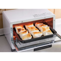 トライプラス グリルトレー ワイド 高木金属 5個