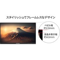 21.5インチ 液晶ディスプレイ(1920x1080/IPS/非光沢/HDMI/VGA/チルト/高さ調整/ピボット) JN-I215FLFHSP 1個