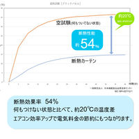 フォレストリンク 遮光1級 防炎 断熱 カーテン 1350×1500mm ピンク 1セット(2枚入)（直送品）