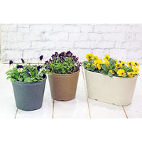 welzo もみっくポット 6号 ブラック 4933136527812 1個（直送品）