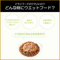 （お得なアソート）シーザー 厳選ビーフシリーズ 70g 32袋（2種×16個）ドッグフード 犬 ウェット パウチ