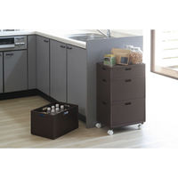 JEJアステージ カロキューブレギュラー ブラウン 4528302190015 1個