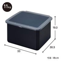 伸晃 システムキッチン用 ライスボックス11(ブラック) ブラック (1セット:2個入) 4964806023938 1セット(2個入)（直送品）