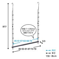 伸晃 クローゼット吊り下げハンガー 伸縮タイプ ブラック (1セット:3個入) 4964806024447 1セット(3個入)（直送品）