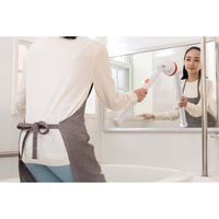 ファミリー・ライフ ファミラ 充電式ピカピカバスポリッシャー スピンターボ 9点セット+予備バッテリー 04245 1個