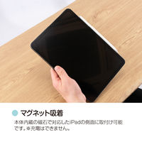 タッチペン iPad専用 充電式 ホワイト TPEN-001W 1個 ナカバヤシ