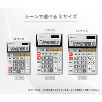 アスカ ビジネス電卓 LL C1255 1セット(1個×2)