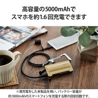 モバイルバッテリー 防水 防塵 IP44 USB-C 最大 12W 5000mAh DE-C35L-5000BE エレコム 1個