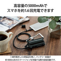 モバイルバッテリー 防水 防塵 IP44 USB-C 最大 12W 5000mAh DE-C35L-5000BK エレコム 1個