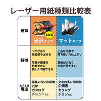 レーザープリンター用紙 セミ光沢紙 厚手 A4 50枚 両面印刷 コピー用紙 ELK-GANA450 エレコム 1個（直送品）