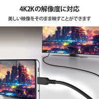 USB Type-C to HDMI 変換 ケーブル 3m 断線に強い 高耐久 MPA-CHDMIS30BK エレコム 1個